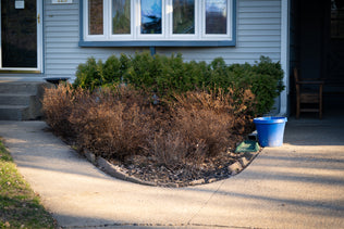 Before/after image 1