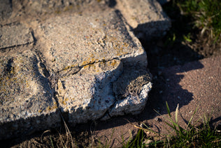 Before/after image 1