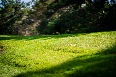 Frequently Asked Questions