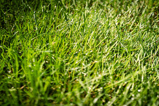 Before/after image 2